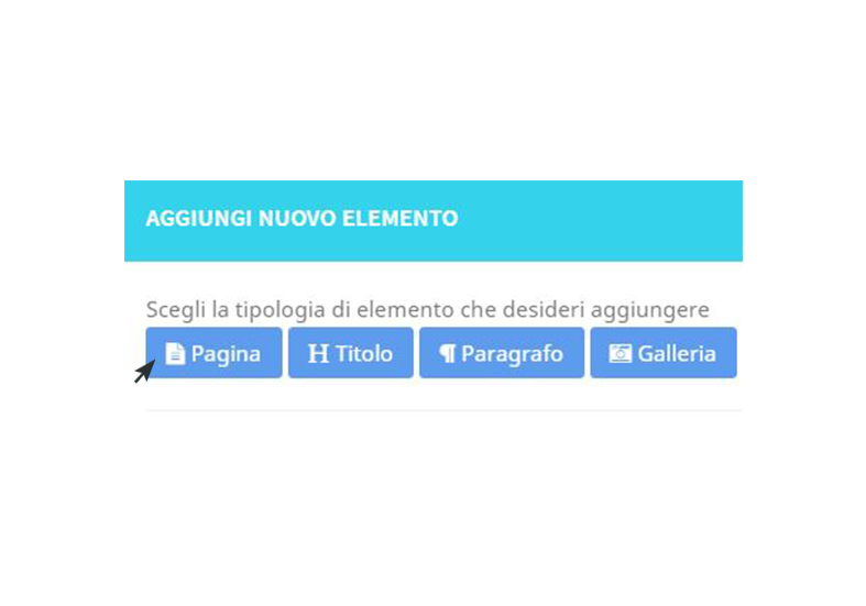 Creare una pagina, una gallery o un qualsiasi altro elemento è semplice e immediato: basta scegliere l'oggetto dal menu 